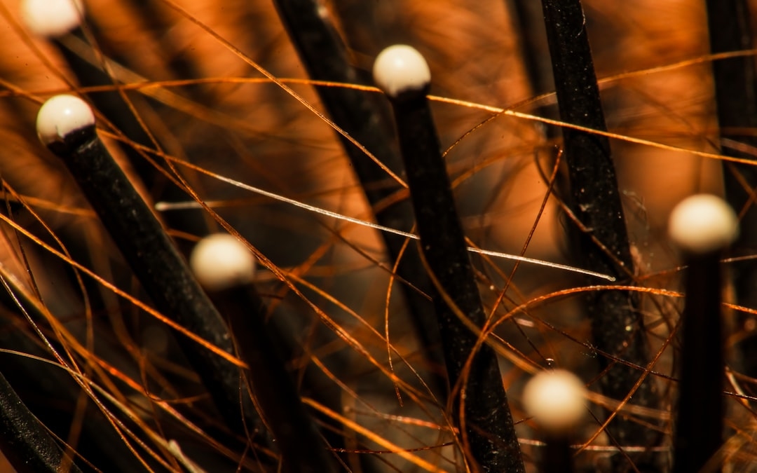 Why Is My Hair So Frizzy? A Complete Guide to Understanding and Controlling Frizz